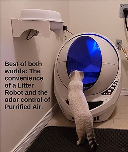 Best Air Purifier For Ferret Odor