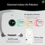 Best Air Purifier For Mycotoxins
