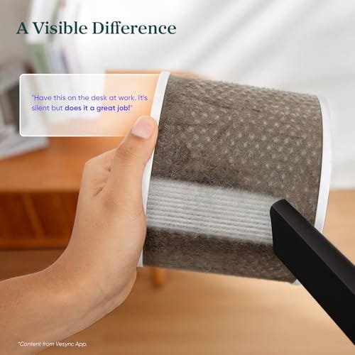 Best Air Purifier For Ceramic Studio