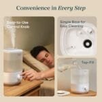 Best Anti Mold Humidifier