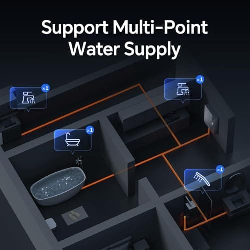 Ranein Tankless Water Heater Reviews