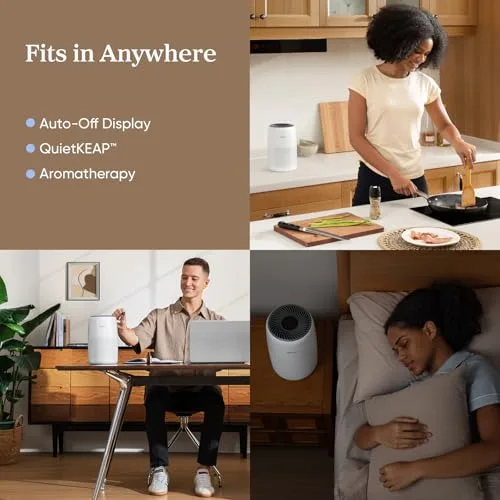 Best Air Purifier For Cold And Flu