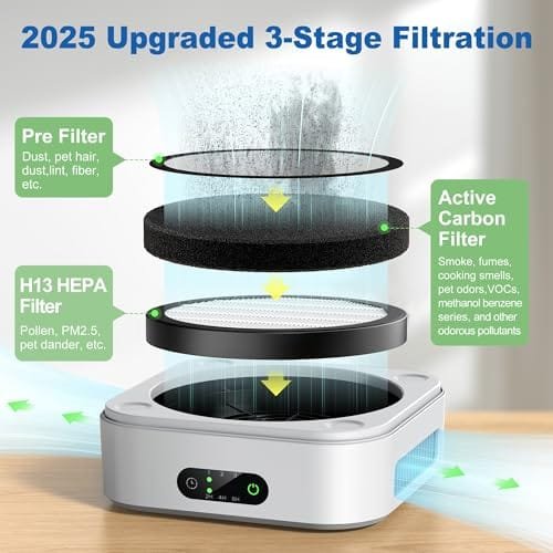 Best Air Purifier For Benzene