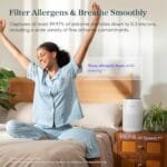 Best Air Purifier For Immunocompromised Patients