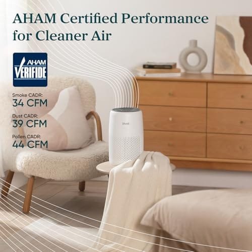 Best Air Purifier For Flatulence