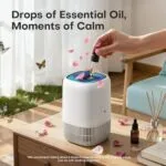 Best Air Purifier For Farts