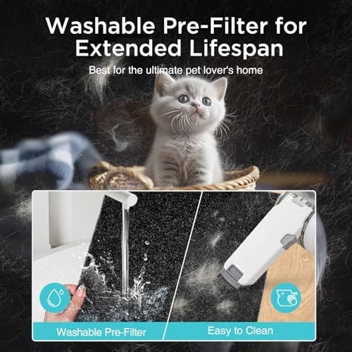 Best Air Purifier For Pellet Stove