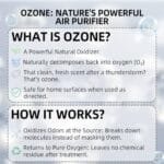 Best Air Purifier For Cat Litter Odor