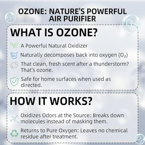 Best Air Purifier For Cat Litter Odor