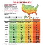 Best Electric Tankless Water Heater