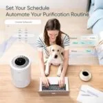 Best Air Purifier For Sleep Apnea