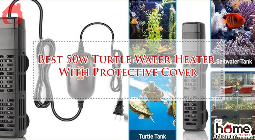 Best 50w Turtle Water Heater With Protective Cover