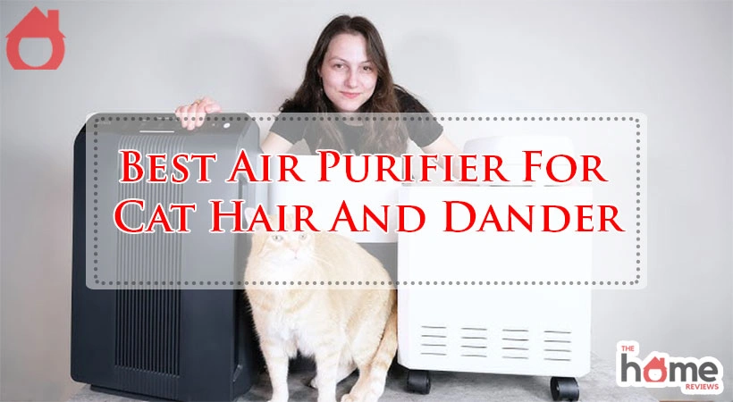 Best Air Purifier For Cat Hair And Dander
