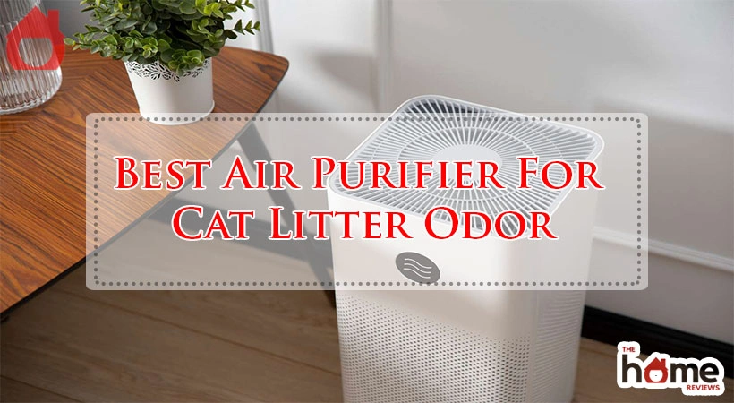 Best Air Purifier For Cat Litter Odor