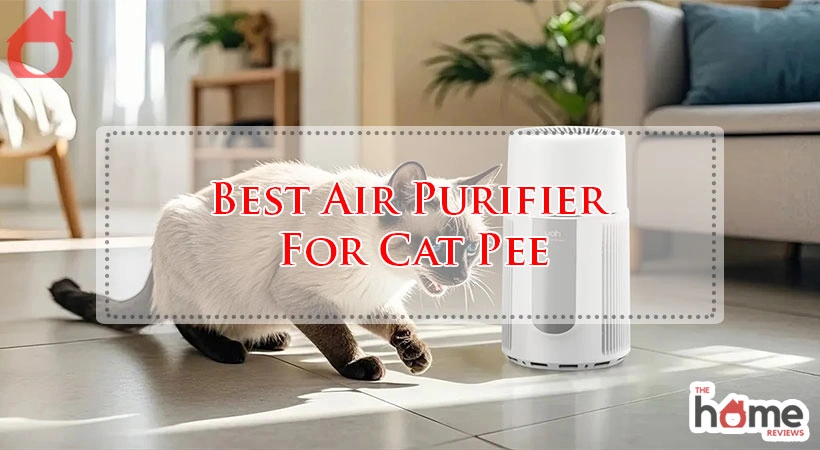 Best Air Purifier For Cat Pee