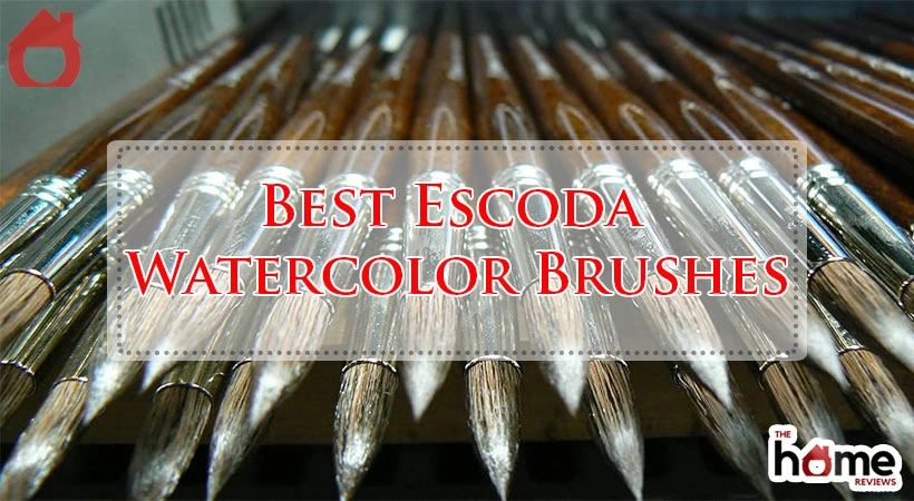 Best Escoda Watercolor Brushes