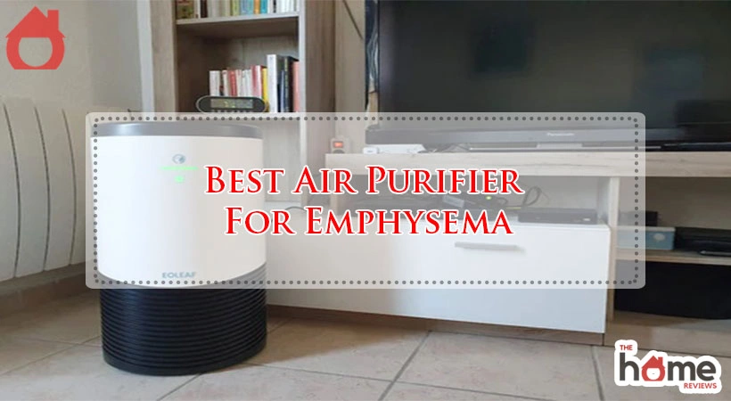 Best Air Purifier For Emphysema