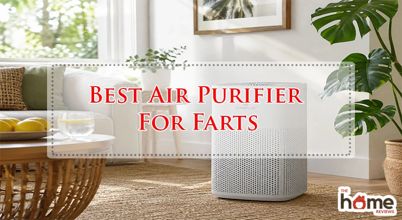 Best Air Purifier For Farts