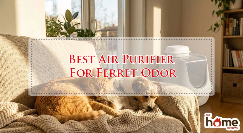 Best Air Purifier For Ferret Odor