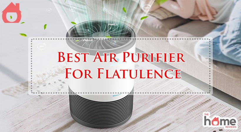 Best Air Purifier For Flatulence