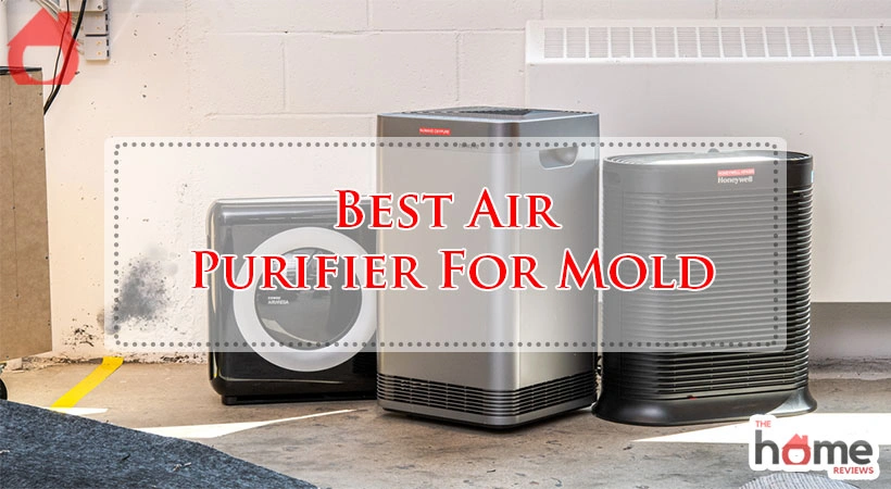 Best Air Purifier For Mold