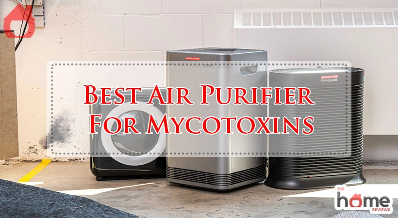 Best Air Purifier For Mycotoxins