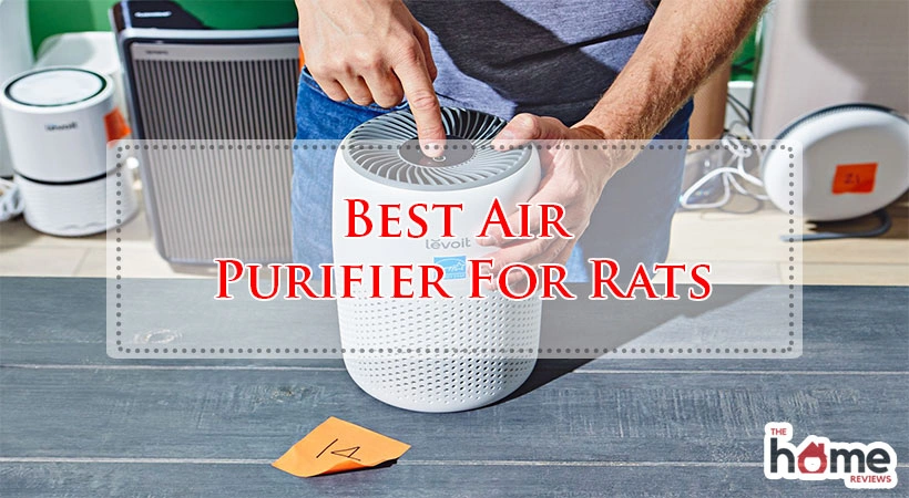 Best Air Purifier For Rats