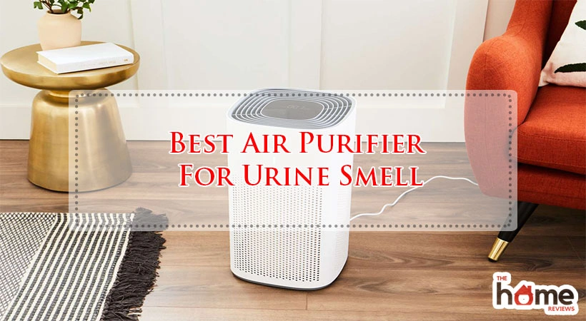 Best Air Purifier For Urine Smell