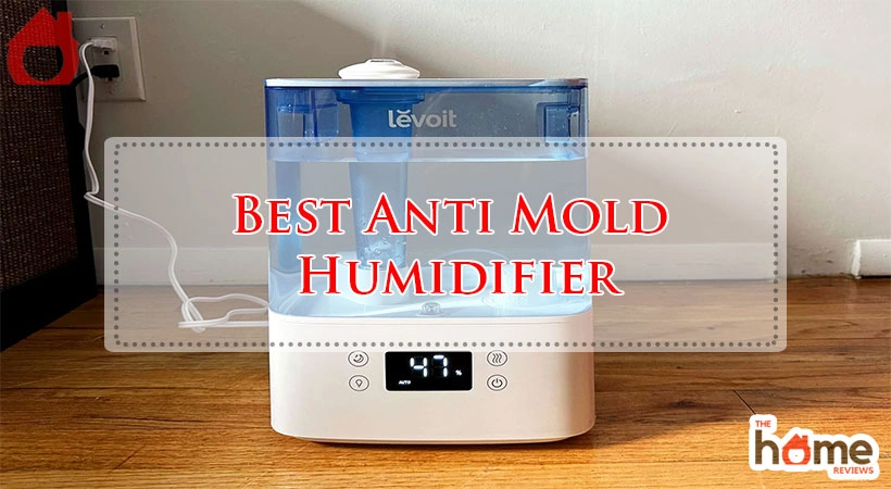Best Anti Mold Humidifier