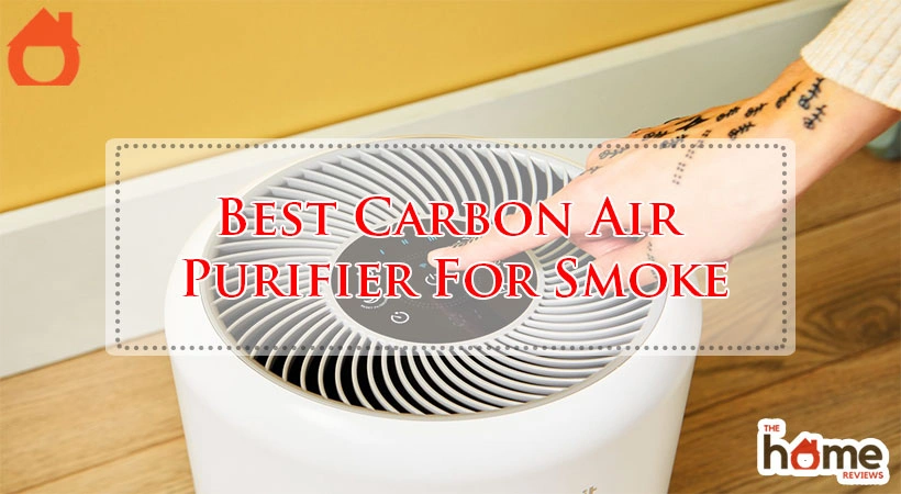 Best Carbon Air Purifier For Smoke