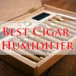 Best Cigar Humidifier