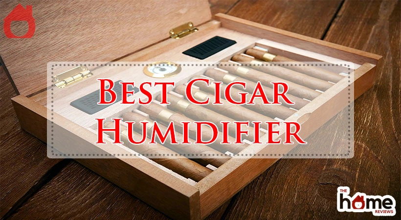 Best Cigar Humidifier