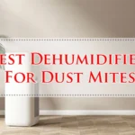 Best Dehumidifier For Dust Mites