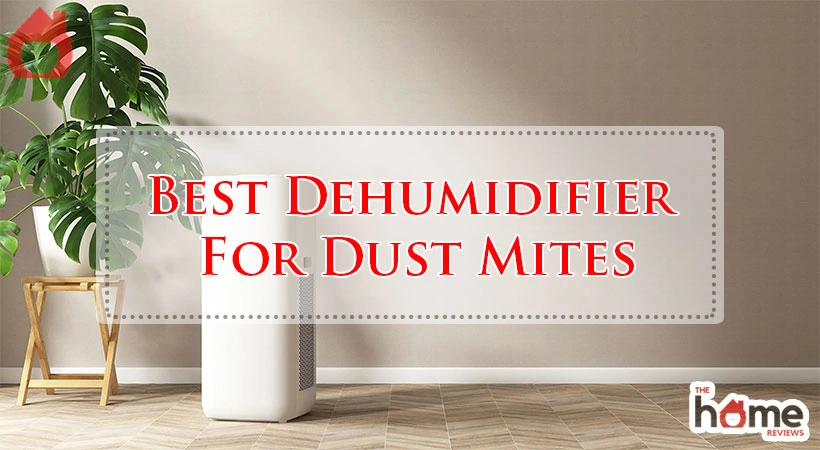 Best Dehumidifier For Dust Mites