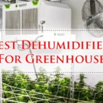 Best Dehumidifier For Greenhouse