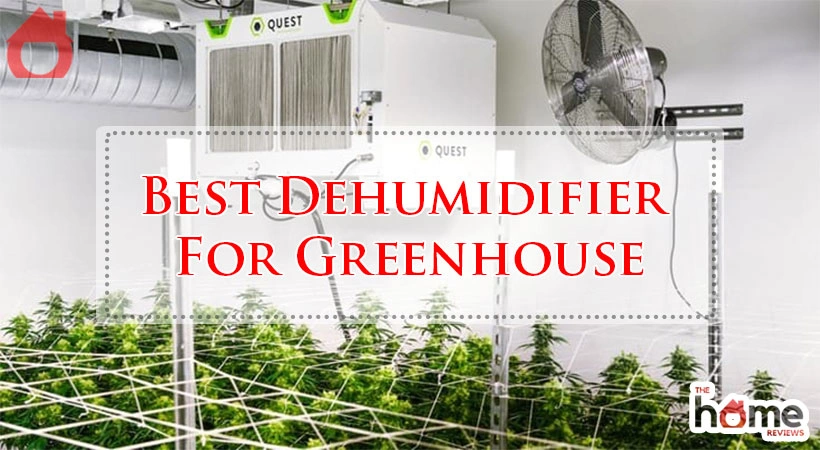 Best Dehumidifier For Greenhouse