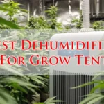 Best Dehumidifier For Grow Tent