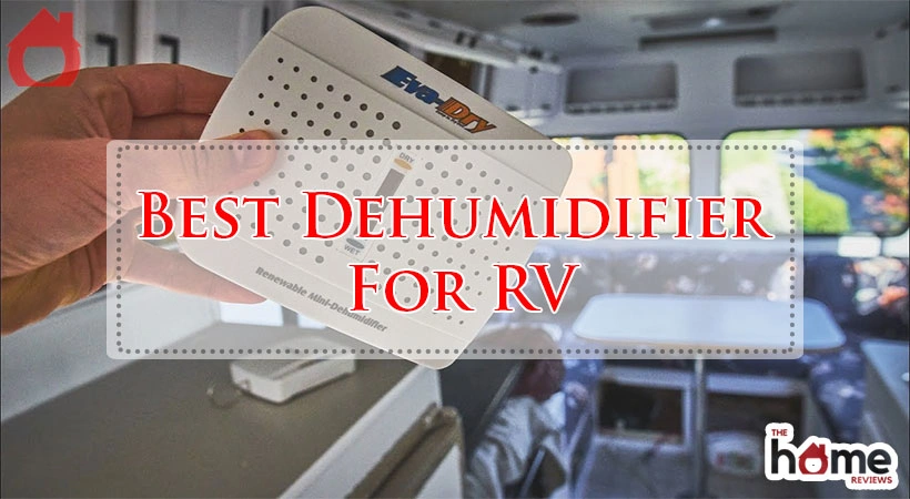 Best Dehumidifier For RV