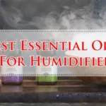 Best Essential Oils For Humidifier