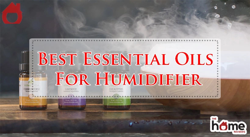 Best Essential Oils For Humidifier
