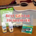 Best Guitar Humidifier
