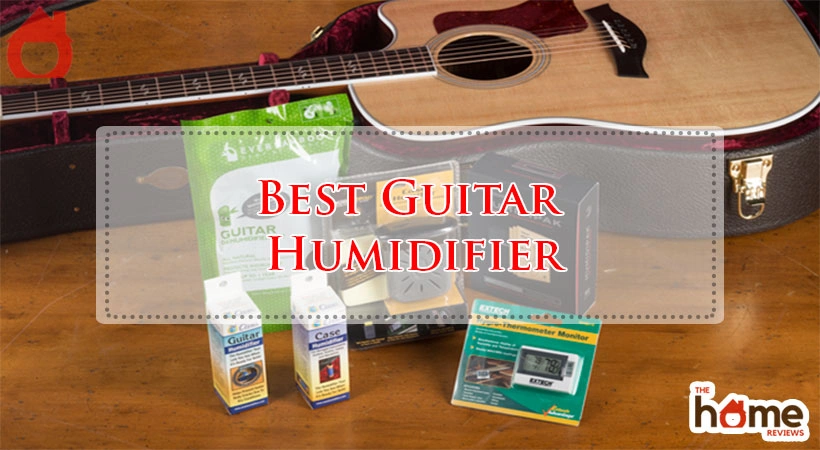 Best Guitar Humidifier