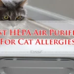 Best HEPA Air Purifier For Cat Allergies