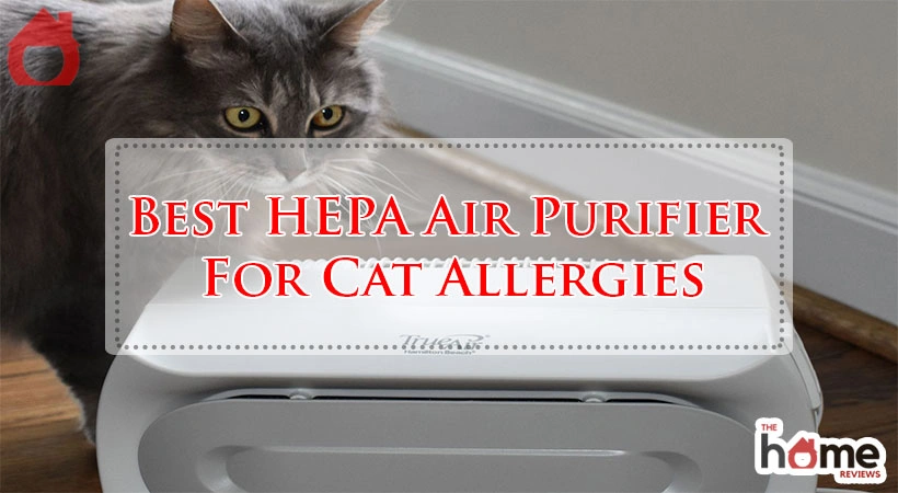 Best HEPA Air Purifier For Cat Allergies