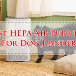 Best HEPA Air Purifier For Dog Dander