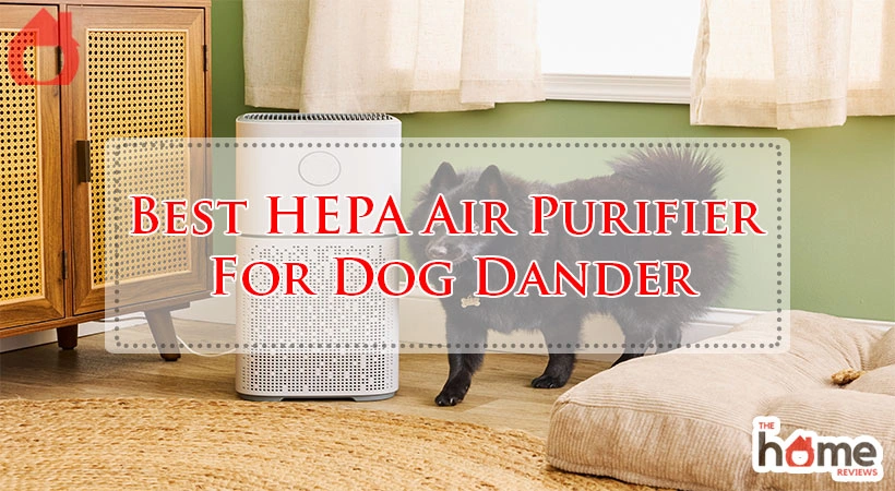 Best HEPA Air Purifier For Dog Dander
