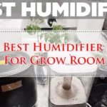 Best Humidifier For Grow Room