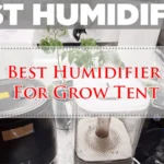 Best Humidifier For Grow Tent