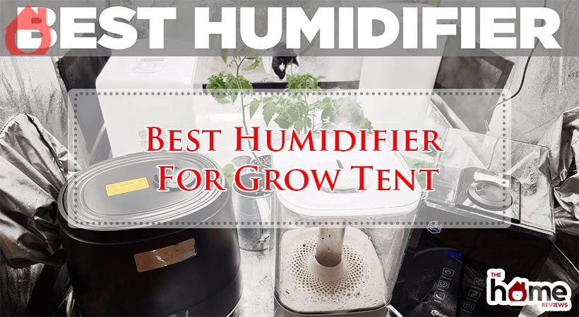 Best Humidifier For Grow Tent