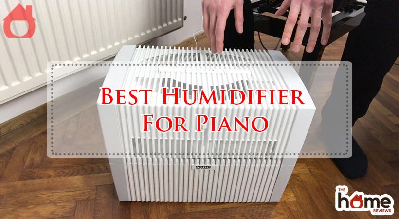Best Humidifier For Piano